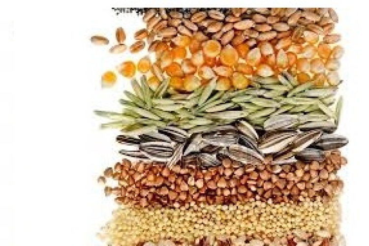 A baltikumi étrendé a jövő?