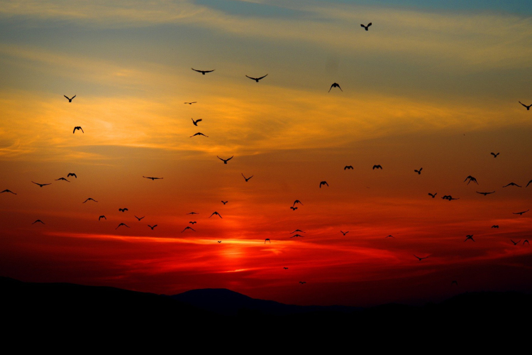 Folytatódik a nyugodt őszi idő sok napsütéssel