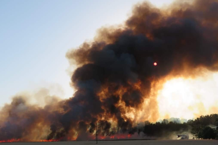 Rekordnagyságú területen pusztított erdőtűz az idén Európában