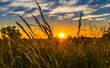 Napos, meleg, kora nyárias idő várható a hétvégén